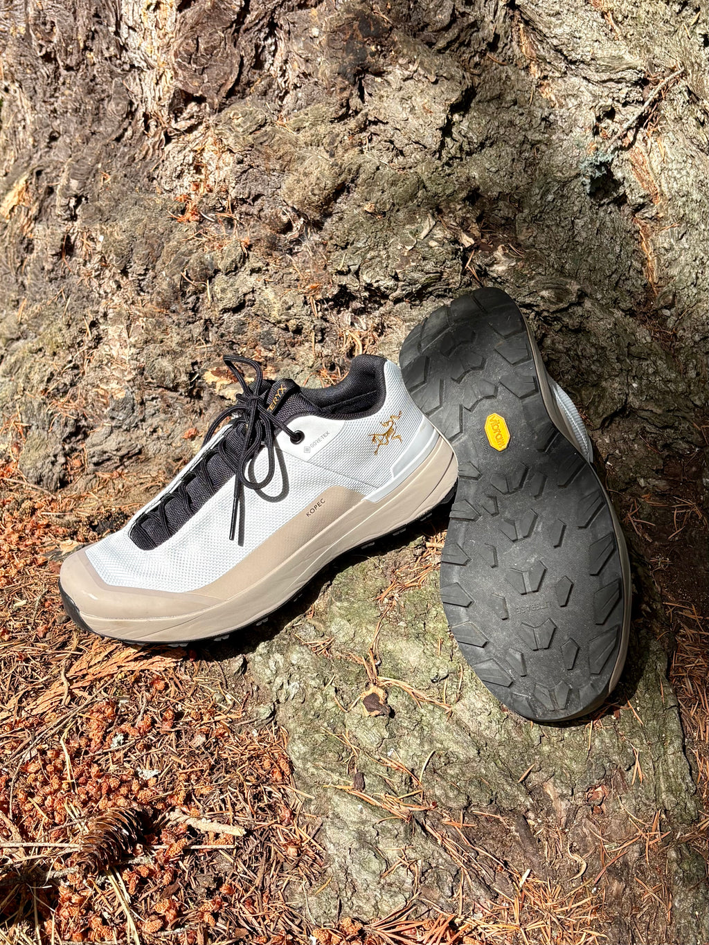 000019 - Arcteryx - Athletic Shoes - Image 4 circular-filename:24_08_2026_b45212b4-0081-4287-b305-5d4827380426_captured_image