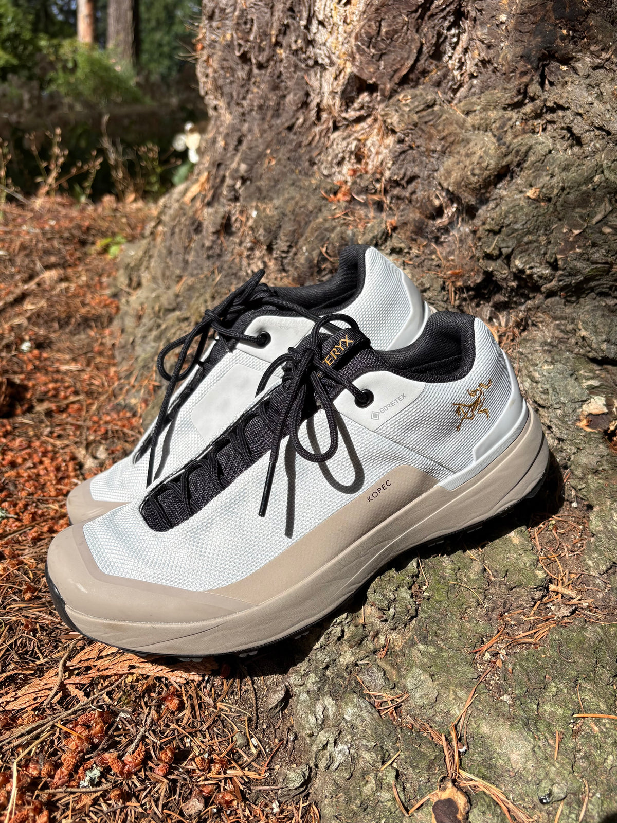 000019 - Arcteryx - Athletic Shoes - Image 3 circular-filename:24_08_2026_cd704d69-2007-41c7-a9ca-5bb0c4137460_captured_image