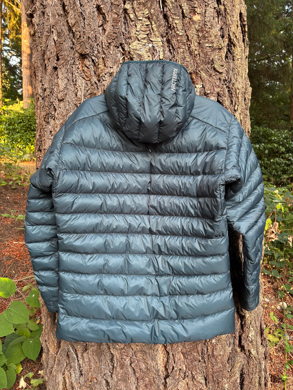 000025 - Arc'teryx - Activewear Vests & Jackets - Dark blue - M - Image 3 circular-filename:26_08_2026_c01f510c-bd41-4dfb-8ab1-86cc5679db4b_captured_image