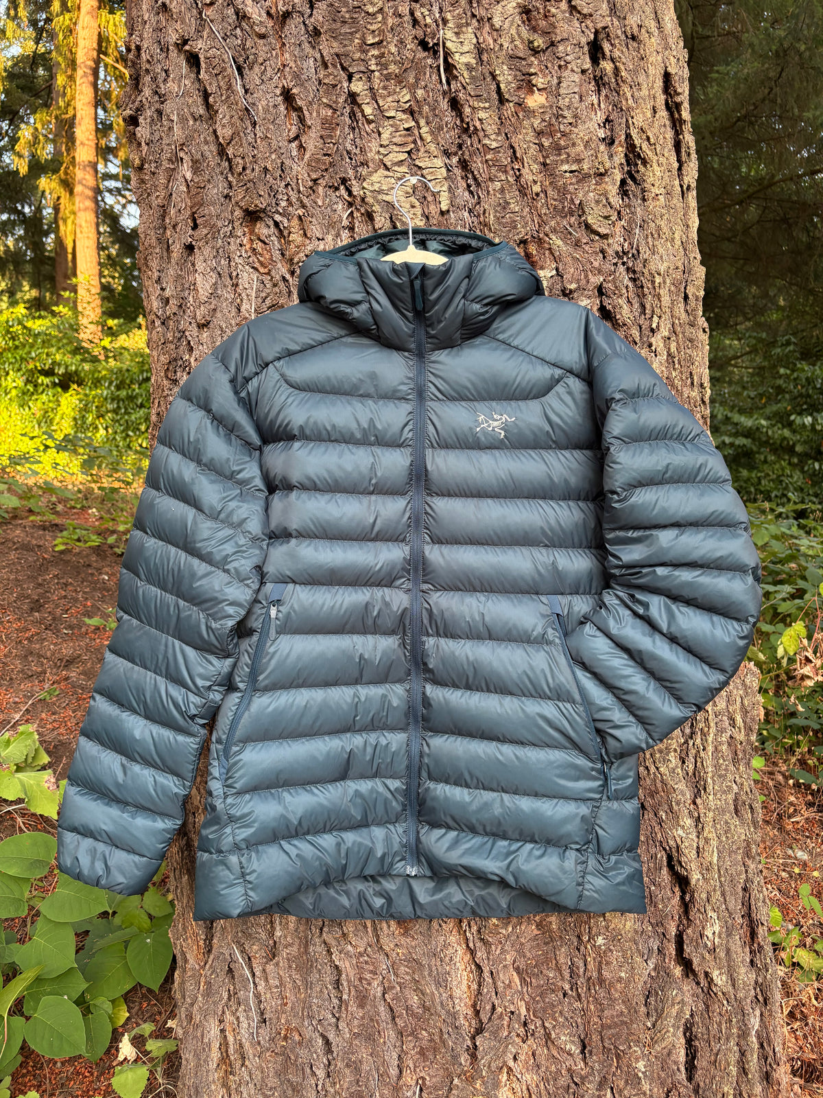 000025 - Arc'teryx - Activewear Vests & Jackets - Dark blue - M - Image 1 circular-filename:26_08_2026_c0ecbe56-8bd3-4b86-a073-760a0fa121d3_captured_image